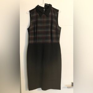 Anne Taylor Loft Collared Dress Size 6